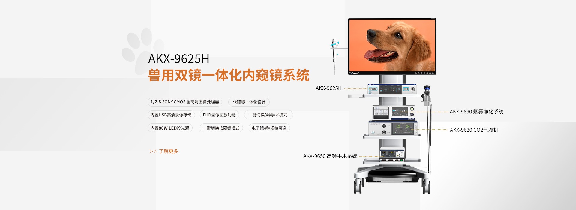 动物内窥镜