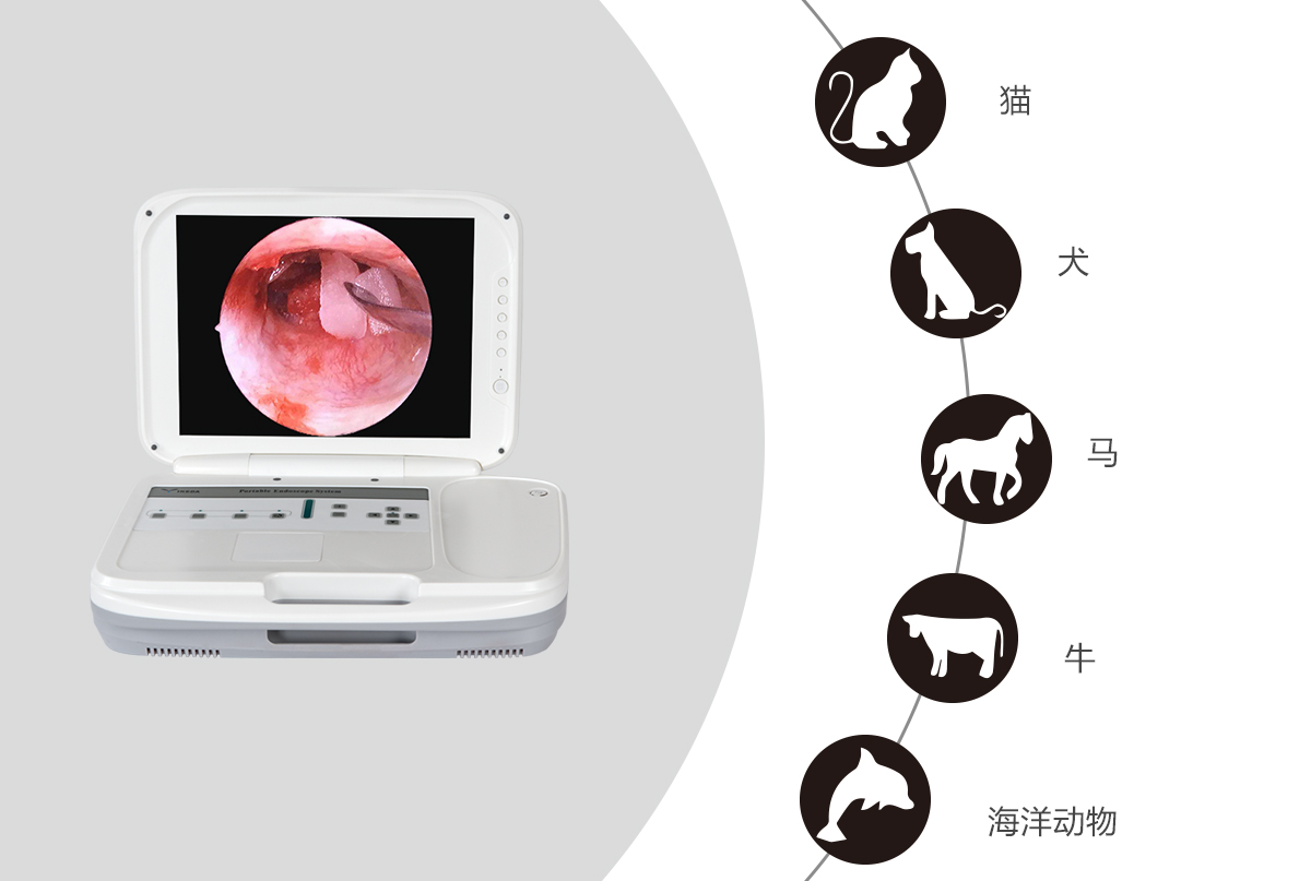 内窥镜摄像机的应用领域有哪些？