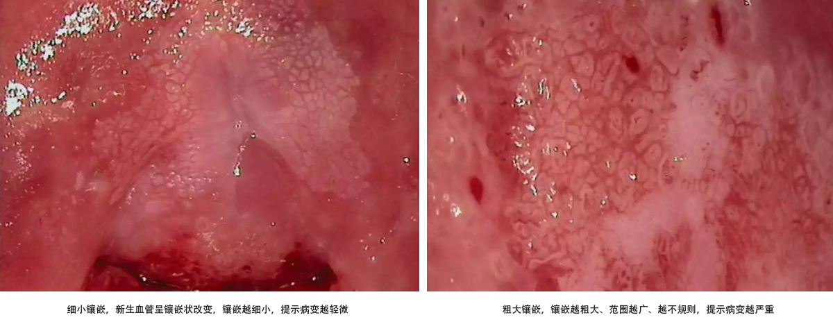 未标题-2.jpg