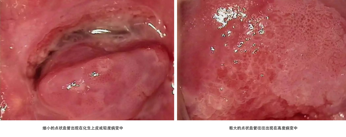 未标题-3.jpg