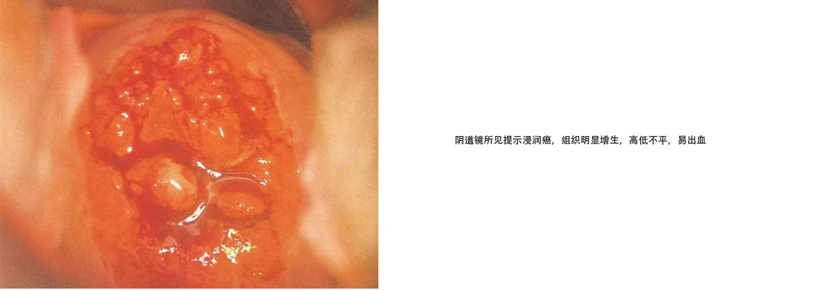 未标题-6.jpg
