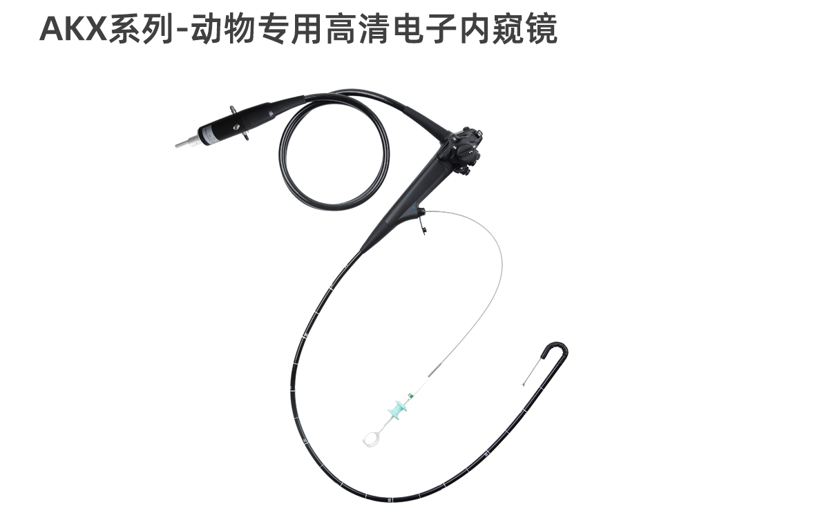 动物内窥镜系统 VET-1000