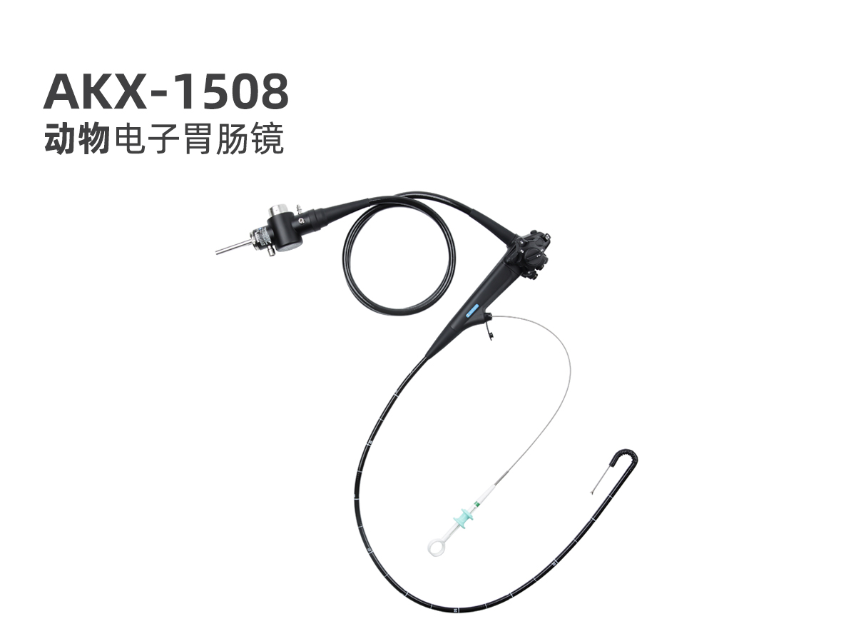 新产品：动物电子胃肠镜 AKX-1508