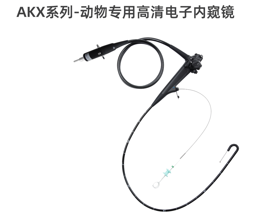 动物电子胃肠镜