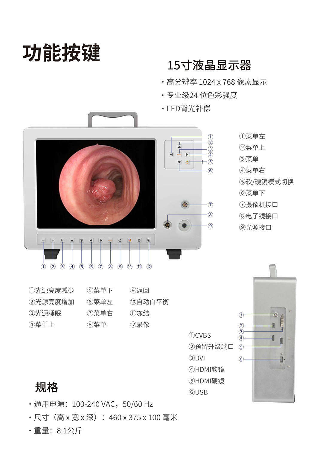 软硬镜一体式内窥镜系统