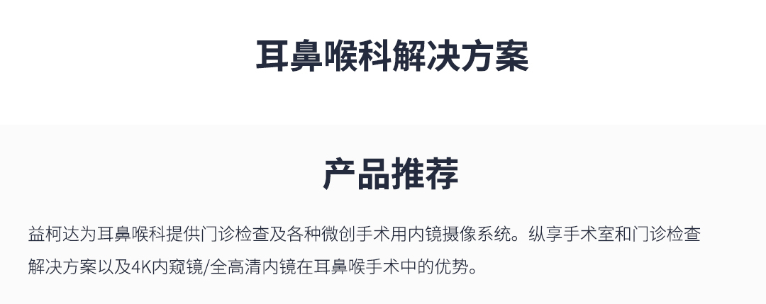 耳鼻喉内窥镜系统