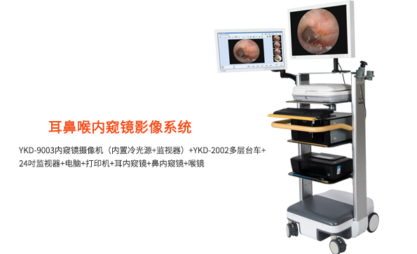 耳鼻喉内窥镜影像系统的组成