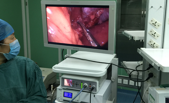 腹腔镜在泌尿外科手术中的应用