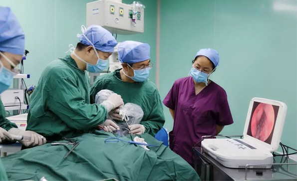 【神经内镜】鼻内镜下经鼻蝶入路脑垂体瘤切除术